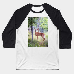 White-Tailed Deer Fawn Baseball T-Shirt